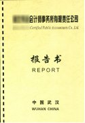 财务审计报告在投标书中的作用